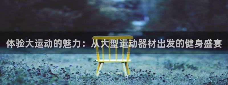 凯捷体育招商:体验大运动的魅力:从大型运动器材出发的健身盛宴